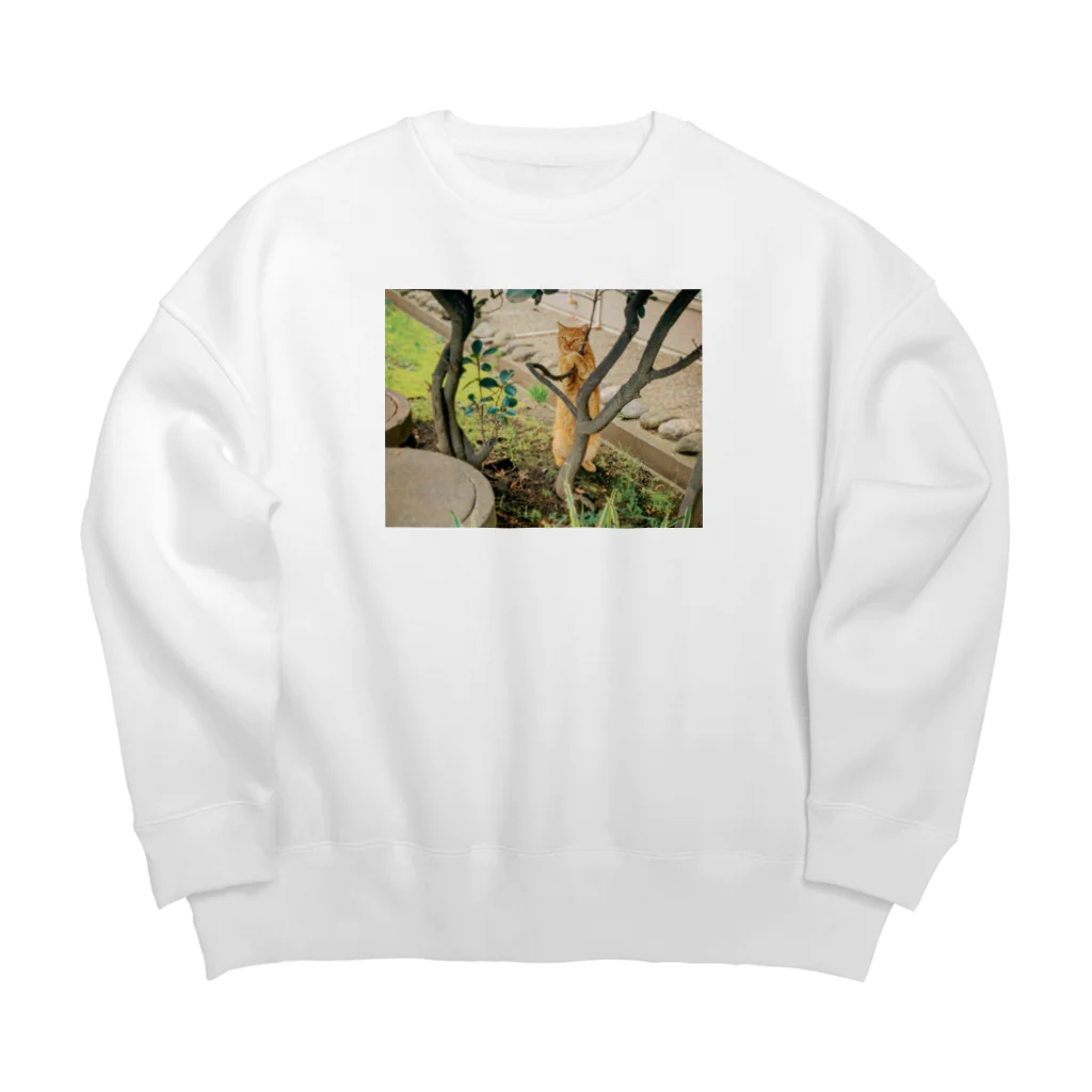 Catcatの猫ちゃんぎゅっ Big Crew Neck Sweatshirt