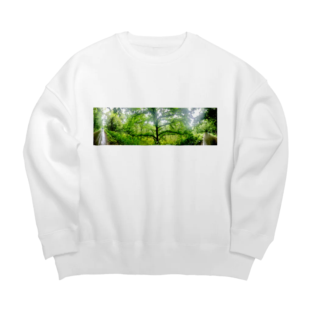 42のイタルの森のパノラマフォトグラフィック Big Crew Neck Sweatshirt