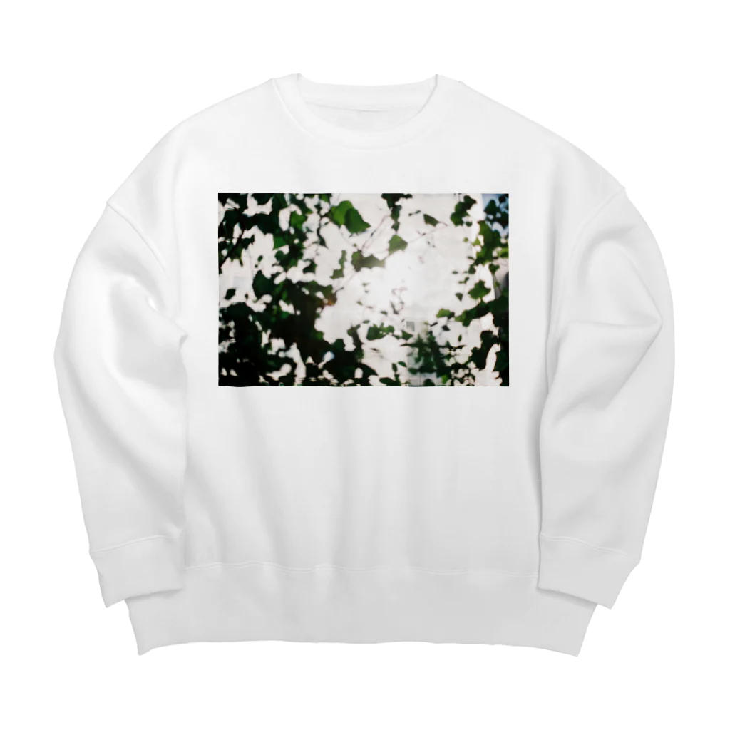 p-techiの光合成 Big Crew Neck Sweatshirt