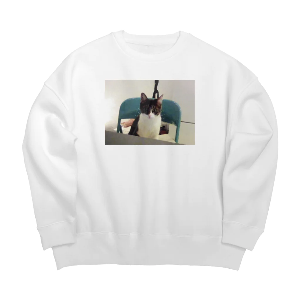 aaaaairisのさくらのねこ Big Crew Neck Sweatshirt