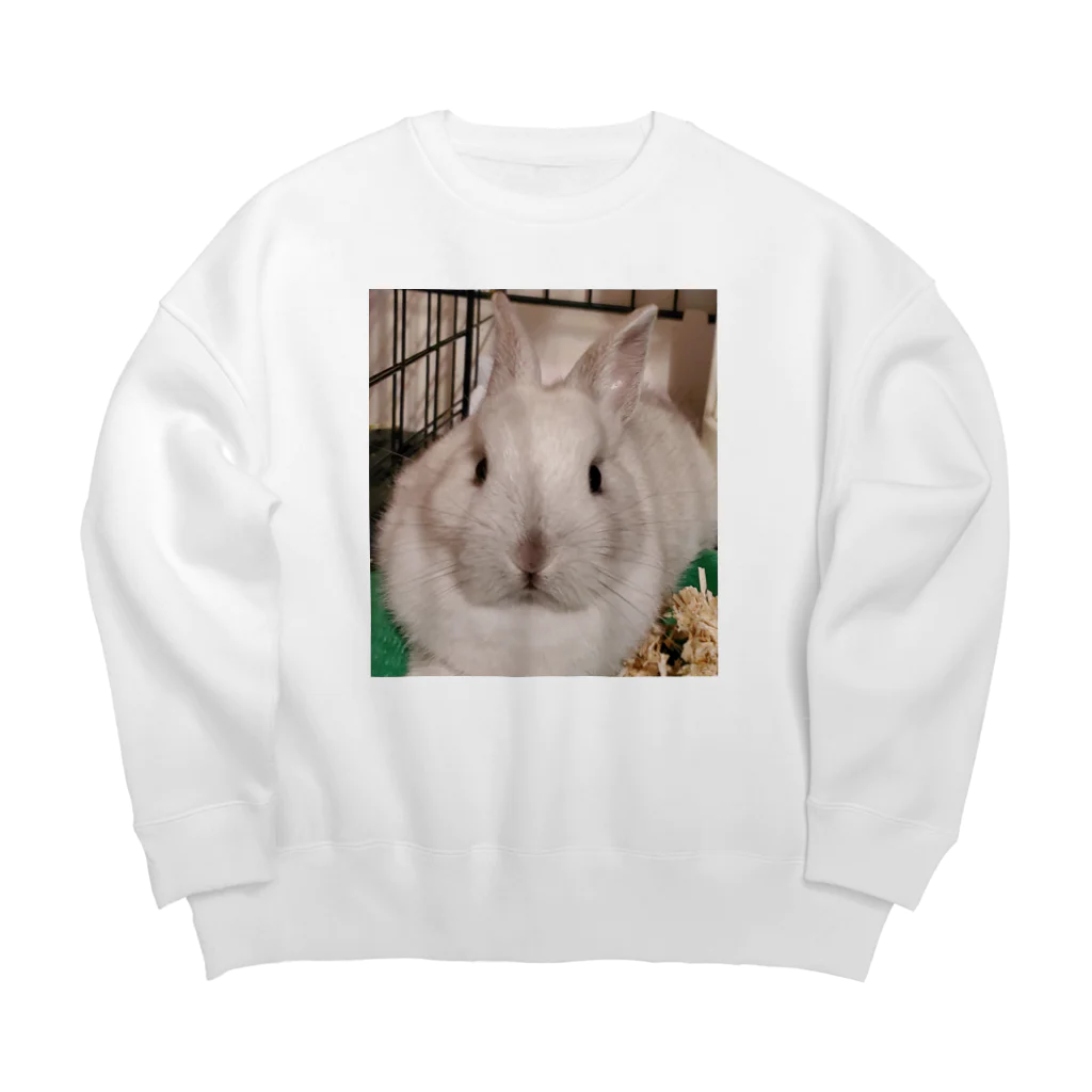 ぷっぷぅのうさぎのぷぷちゃん(男の子) Big Crew Neck Sweatshirt