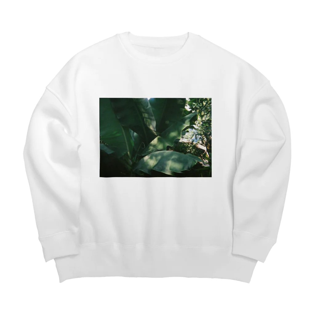 kst_fjtの9歳初めてフイルムカメラで撮ったよ Big Crew Neck Sweatshirt