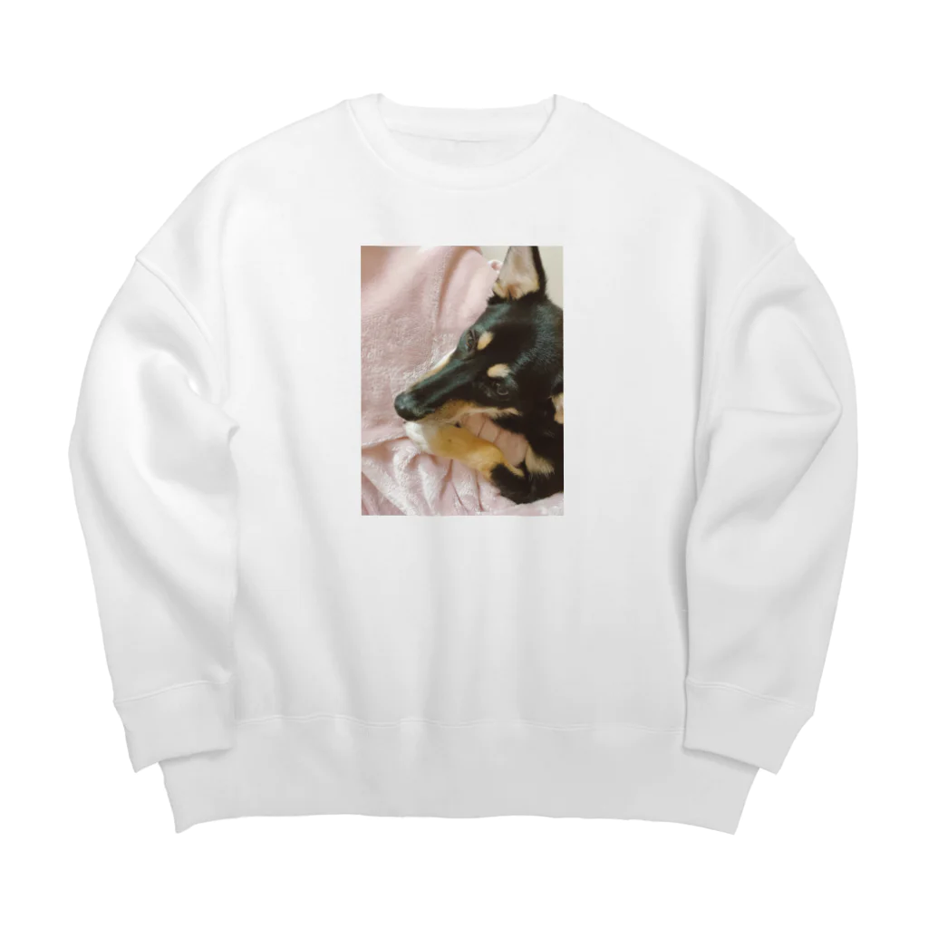 ななりあと愉快な仲間たちのねいちゃんのいる日常 Big Crew Neck Sweatshirt