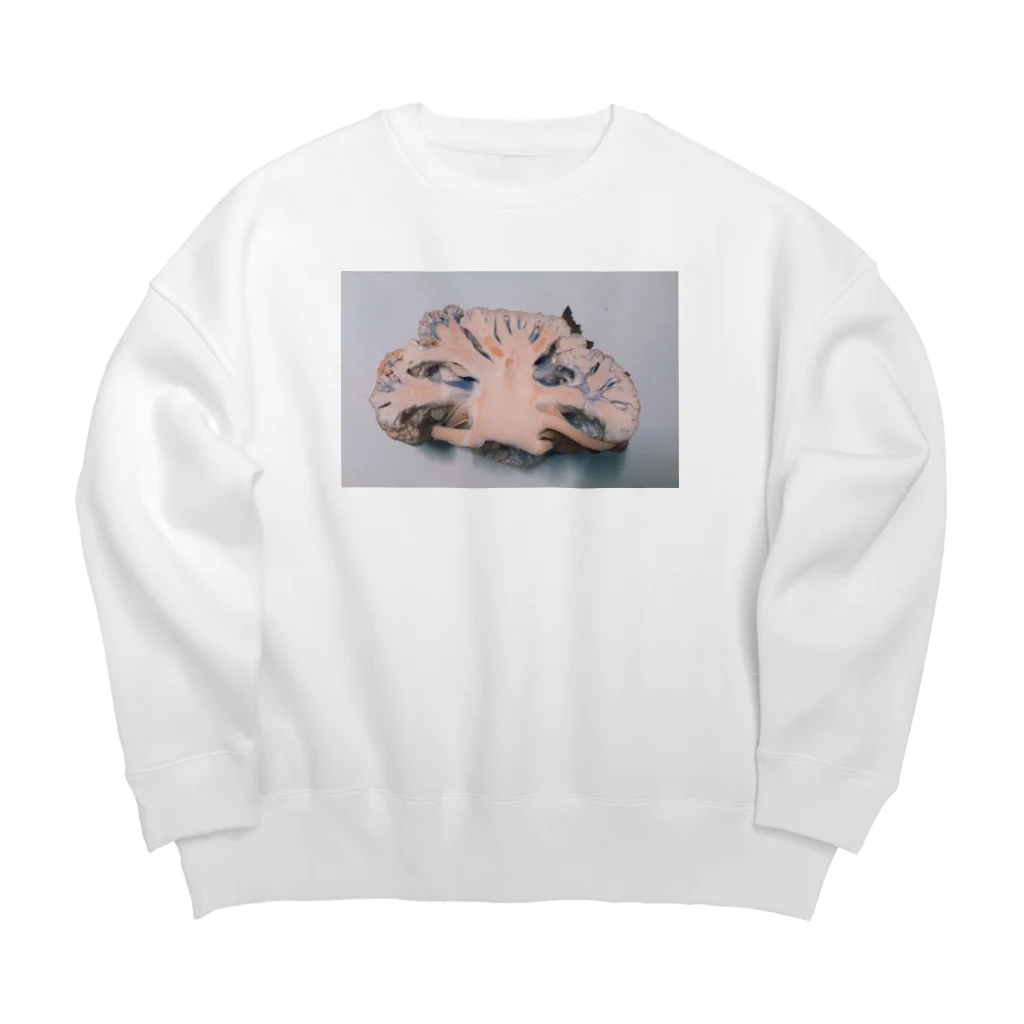 Null2の脳カリフラワー Big Crew Neck Sweatshirt