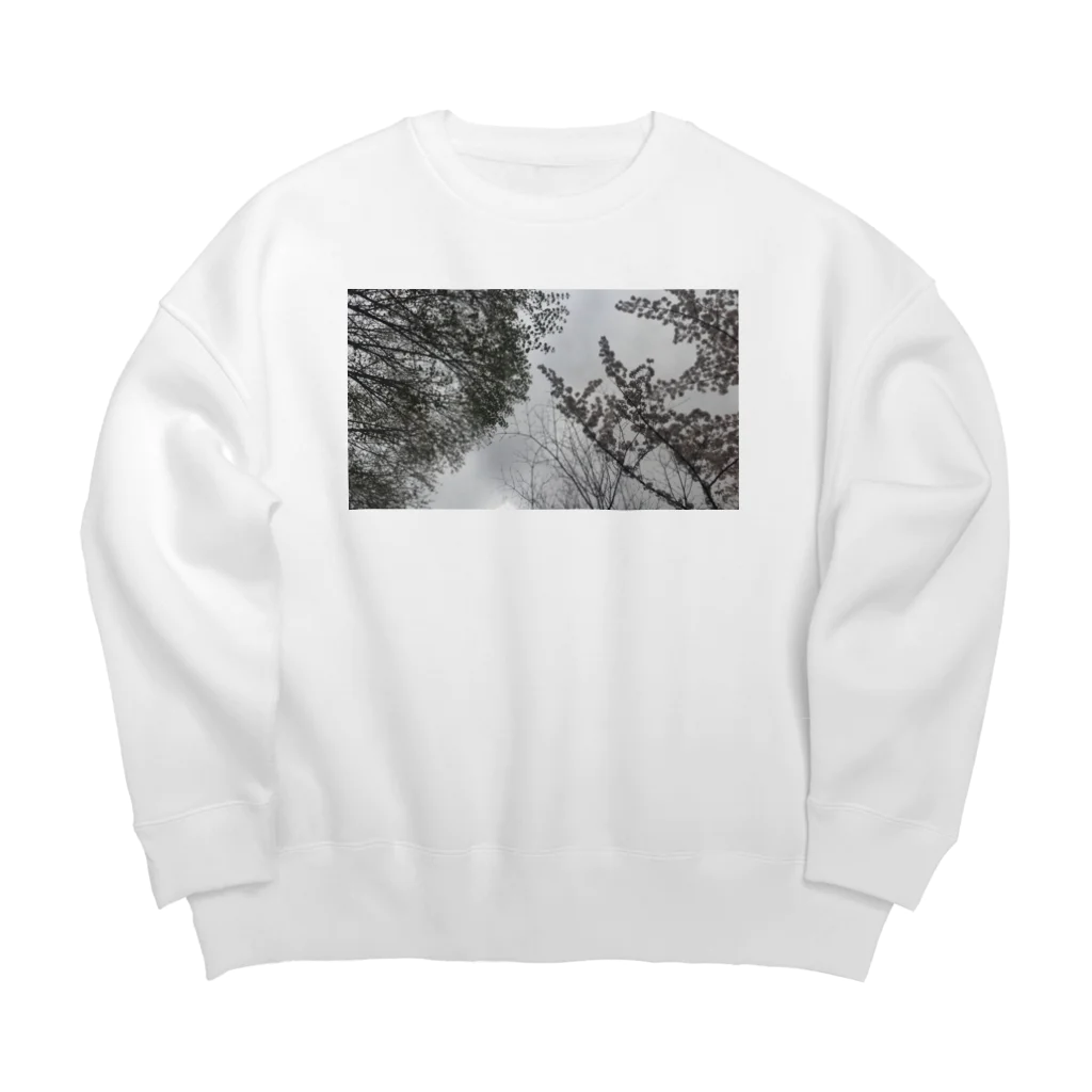 fDESIGNのfp_48_Photo Big Crew Neck Sweatshirt