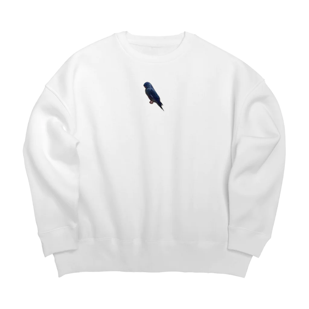 MoiShopのムキムキ☆サザナミインコ　横向き Big Crew Neck Sweatshirt