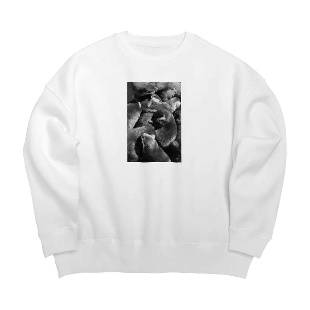 どらごらむのみんなでお昼寝コツメカワウソ Big Crew Neck Sweatshirt