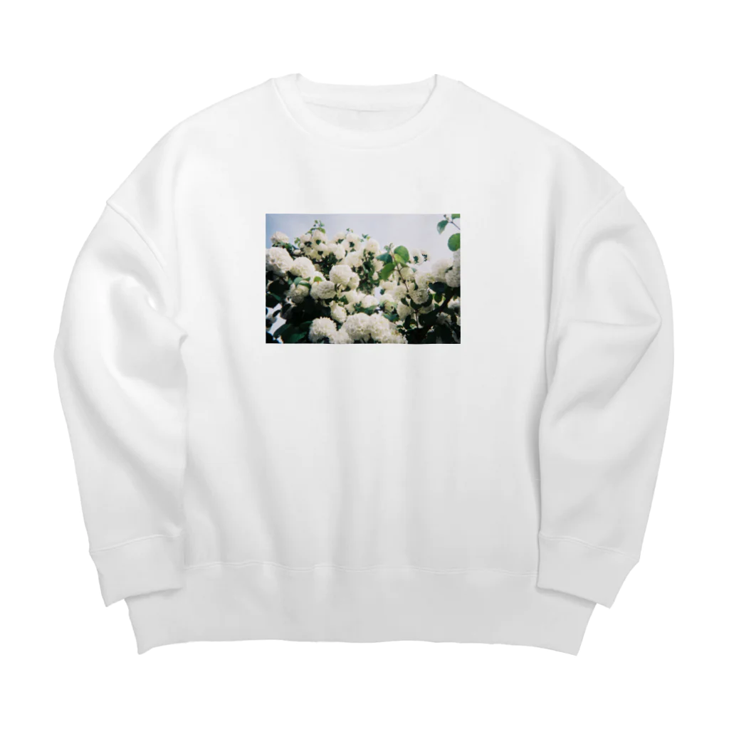 泡沫の庭の大手毬 Big Crew Neck Sweatshirt