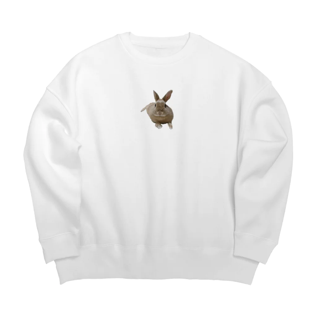 うさぎのリリーのこっち向いてリリー Big Crew Neck Sweatshirt