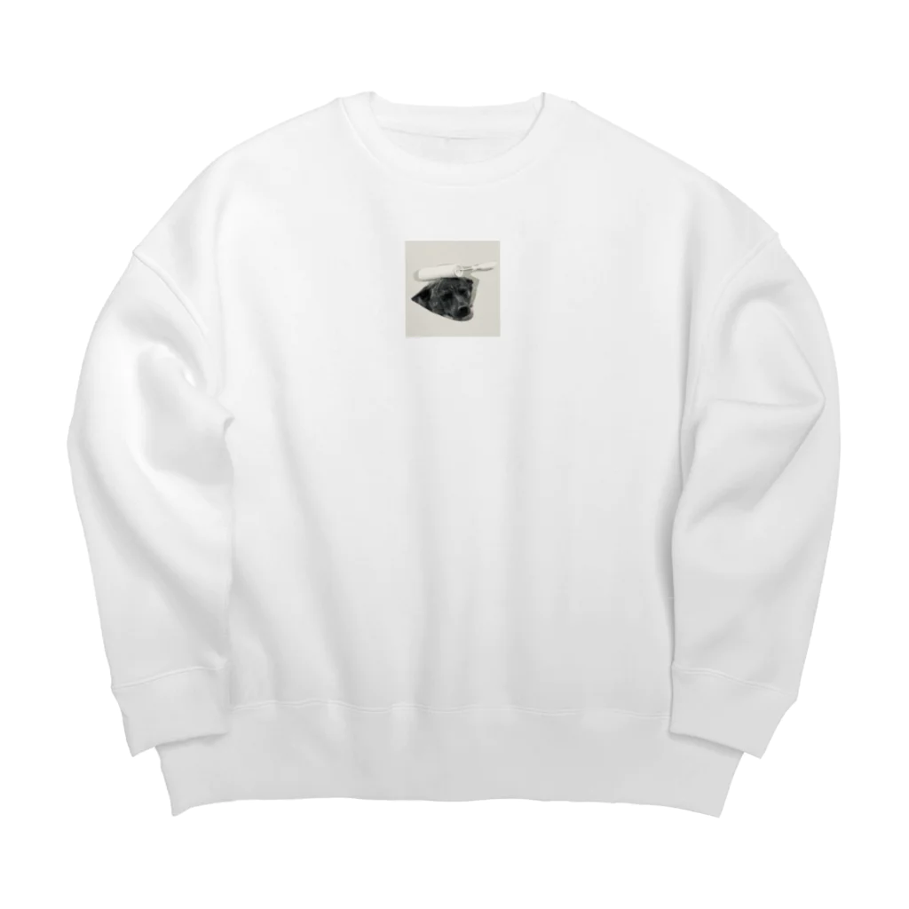 よく寝る甲斐犬のころころ Big Crew Neck Sweatshirt