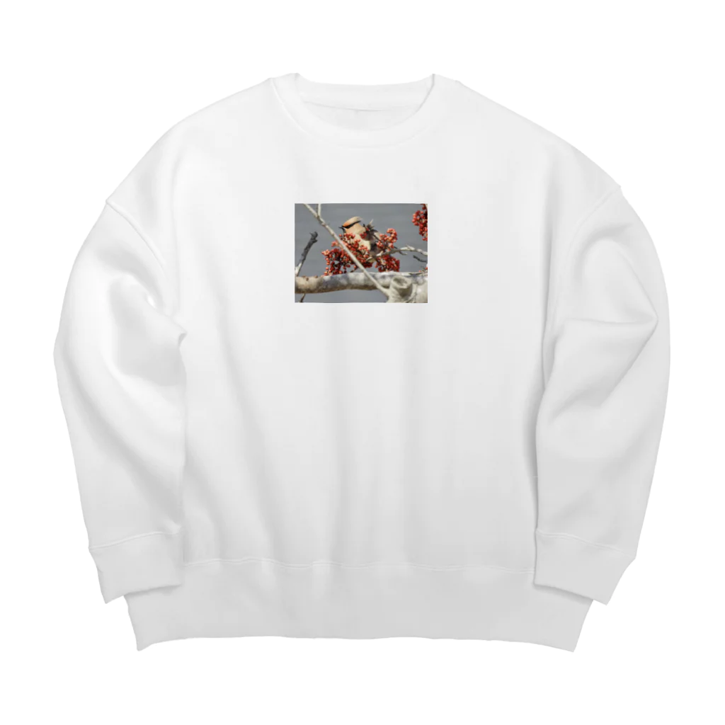 カワセミLOVEの出身歌舞伎町ヒレンジャク Big Crew Neck Sweatshirt