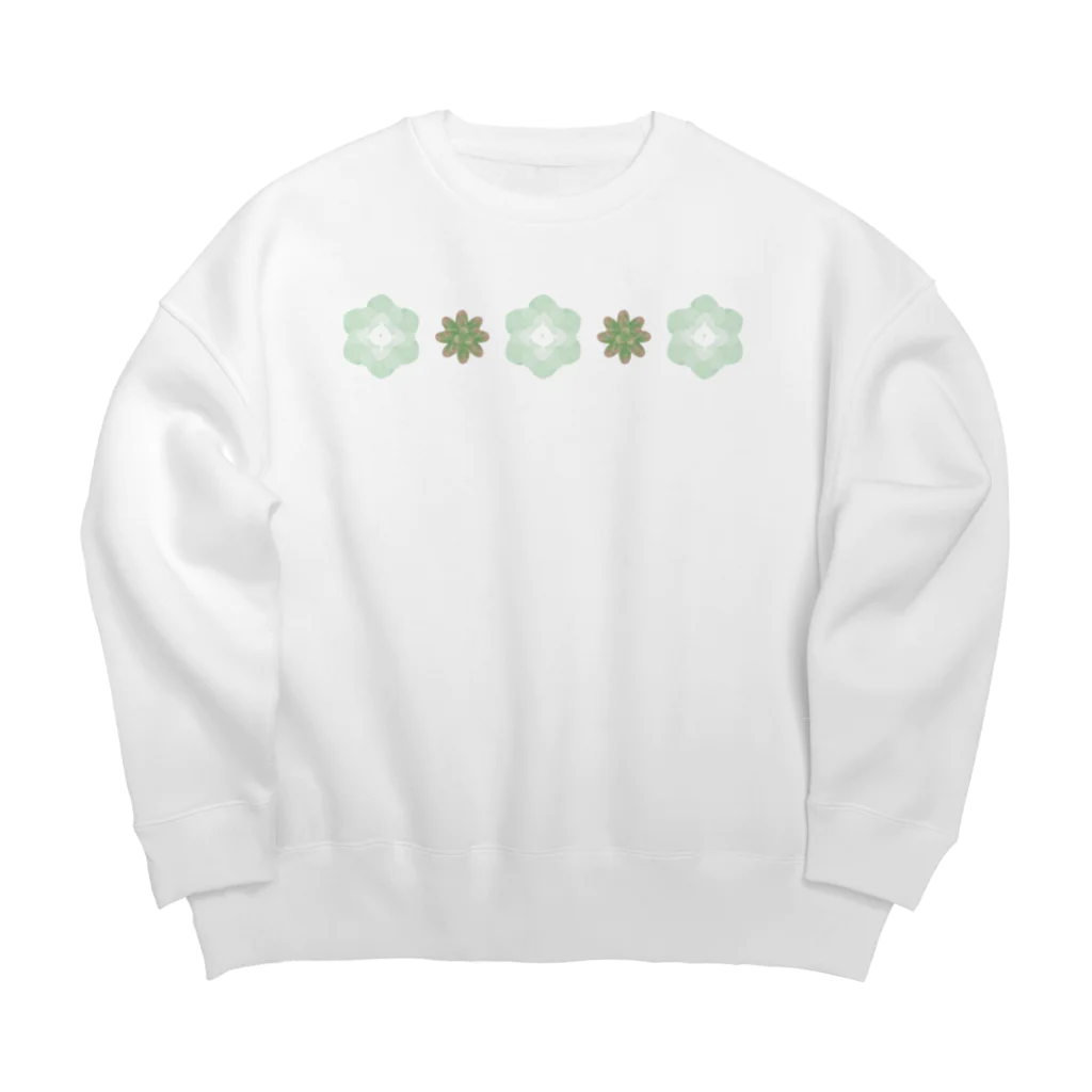 cotton-berry-pancakeの多肉植物 Big Crew Neck Sweatshirt