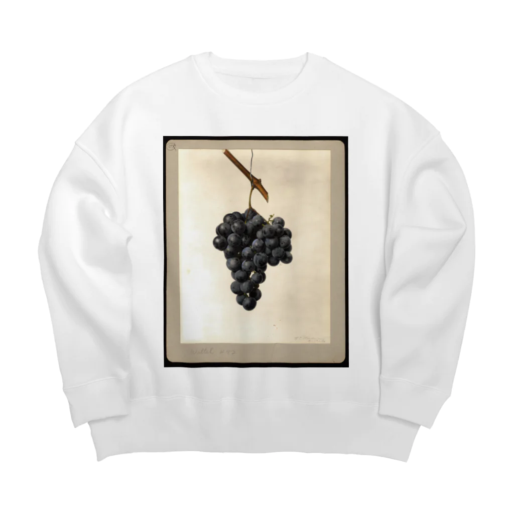 ArtShirtのVitis: Wittel No. 42 ビッグシルエットスウェット