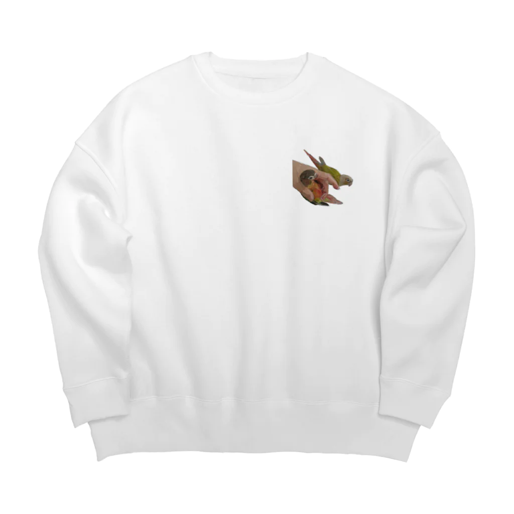 富士fuji【鳥のいる生活】のウロコインコ　レイとヒカリ Big Crew Neck Sweatshirt