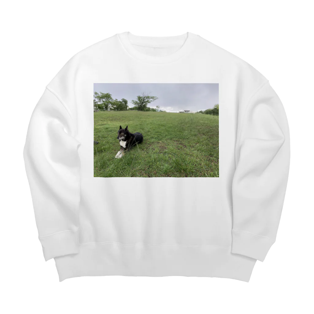 Araiyuukiの空とわんこ Big Crew Neck Sweatshirt