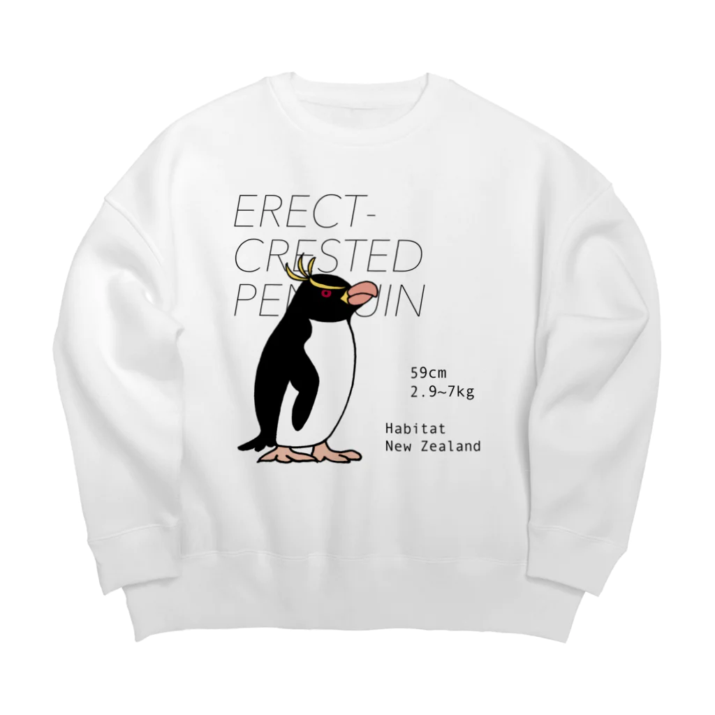 空とぶペンギン舎のマユダチペンギン Big Crew Neck Sweatshirt