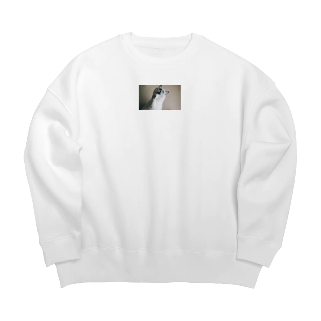 シャウエンのシャウエンは怒っている Big Crew Neck Sweatshirt