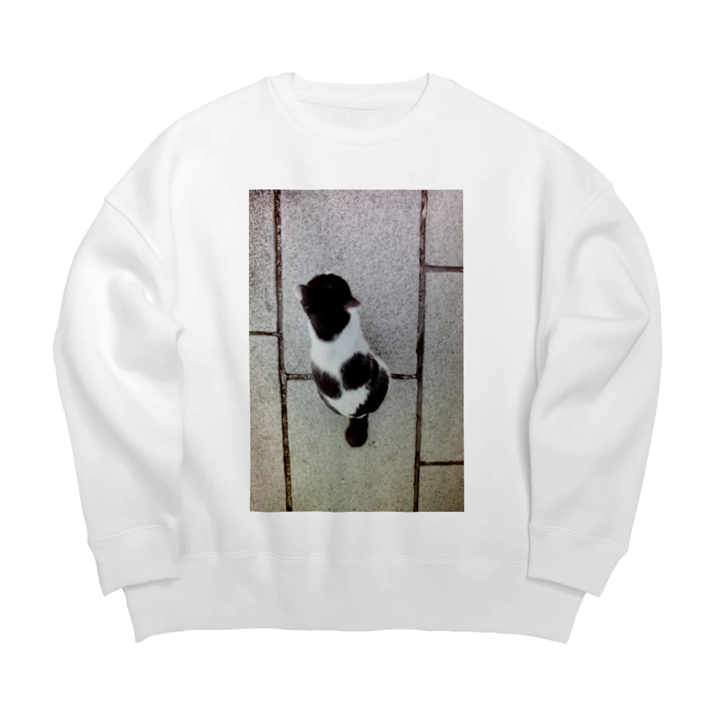 はるえのタマ🐈 Big Crew Neck Sweatshirt