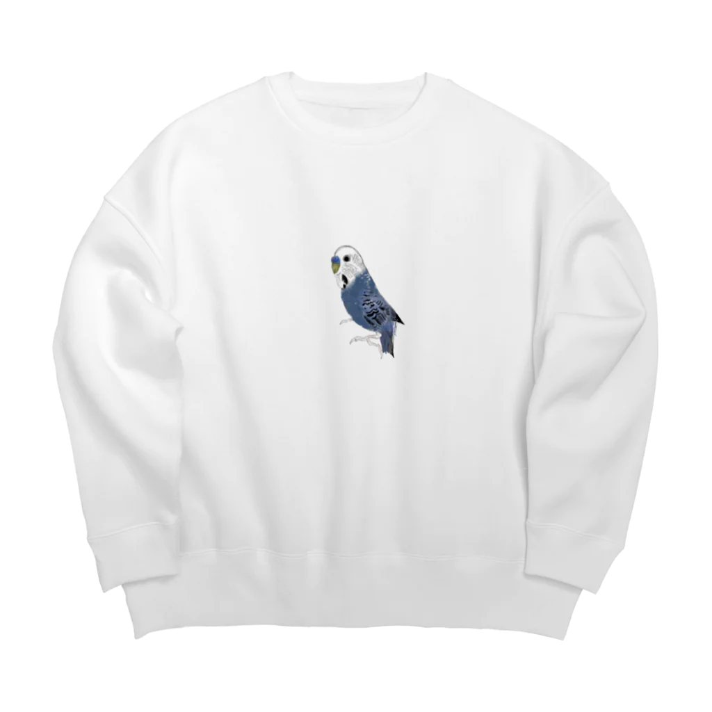 Ao-momo のインコ Big Crew Neck Sweatshirt