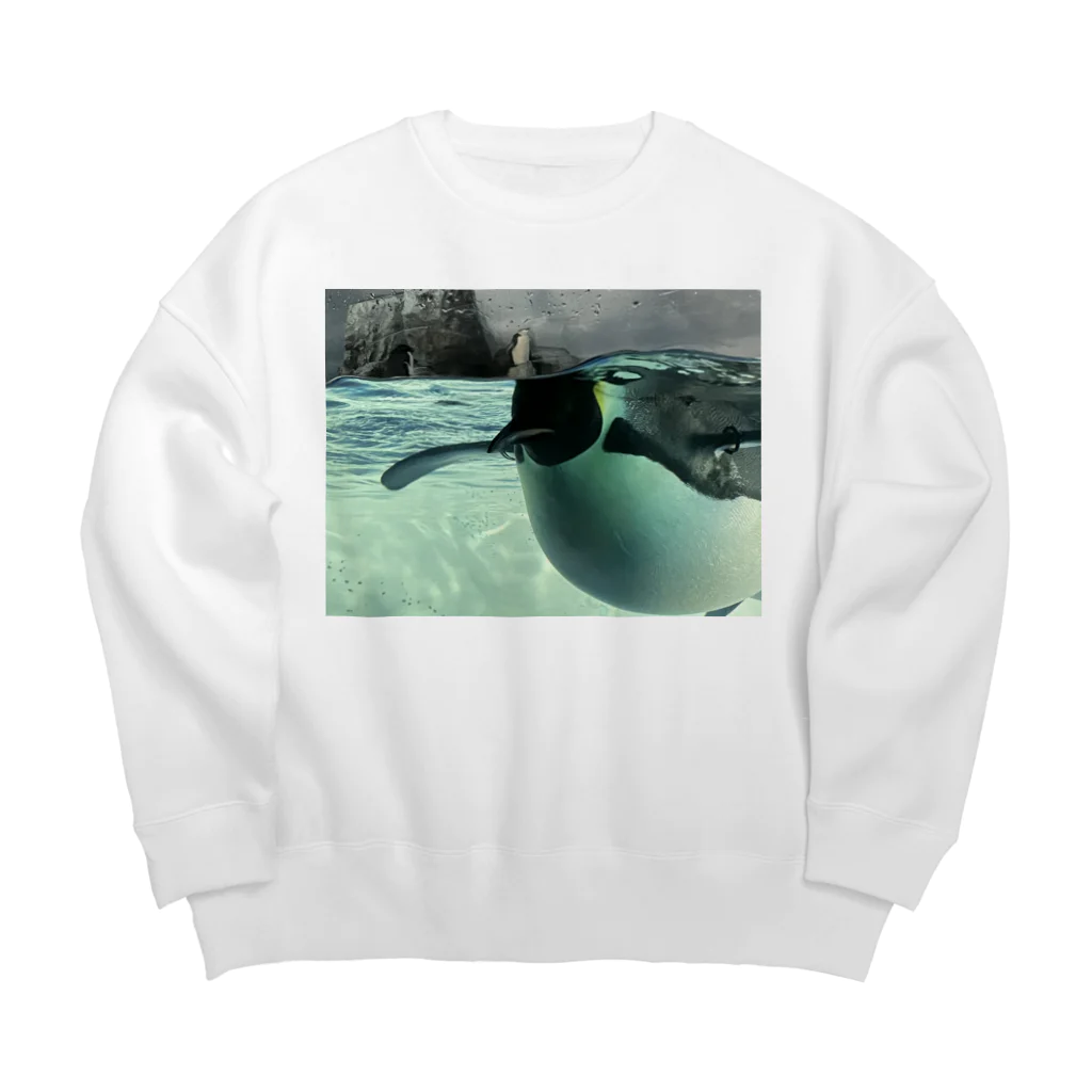 ペンギンの写真のコウテイペンギン　写真　リアル Big Crew Neck Sweatshirt