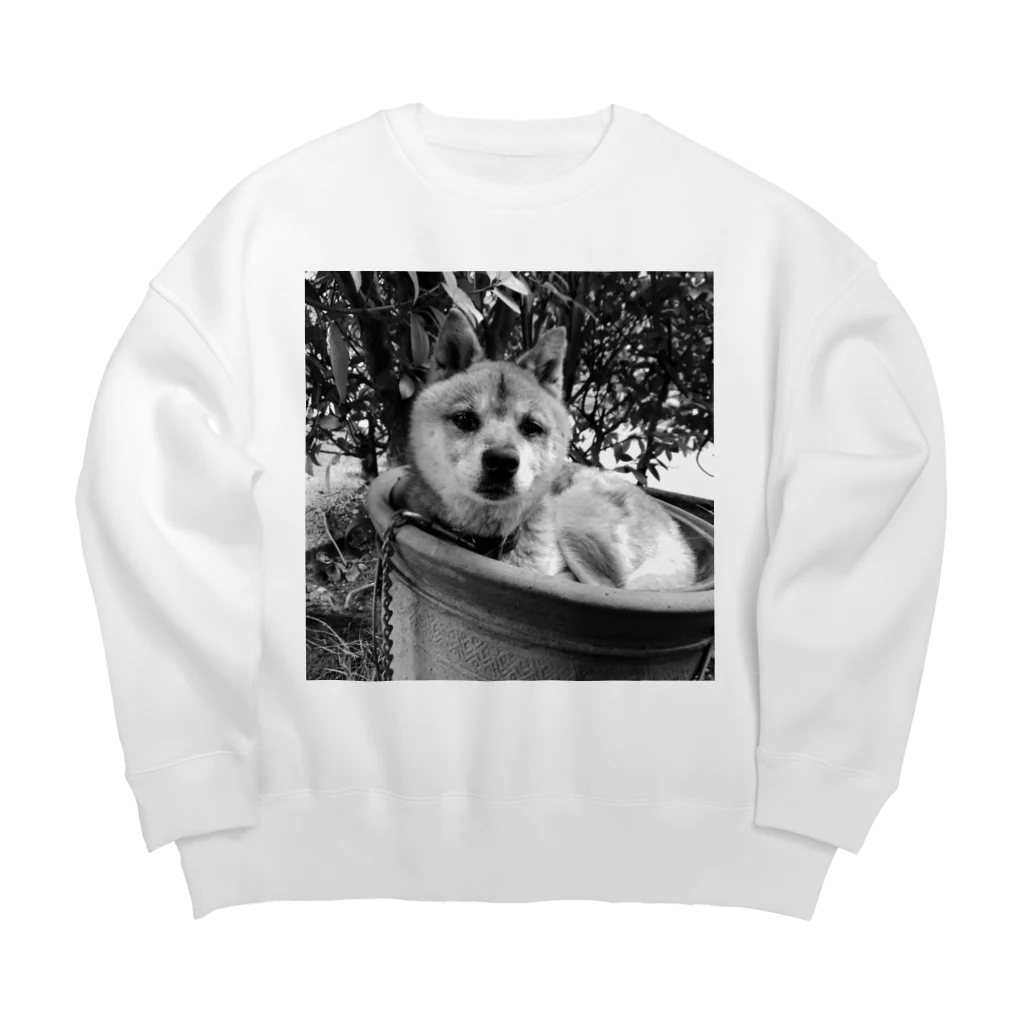 THIS IS NOT MY AVOCADOのうちの犬 Big Crew Neck Sweatshirt