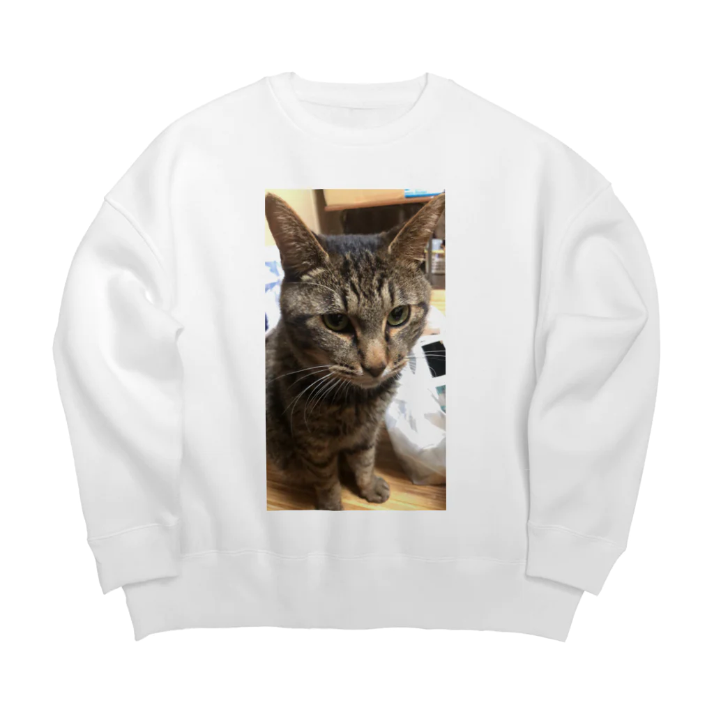 KIPMsのイケてるペケちゃん　1 Big Crew Neck Sweatshirt