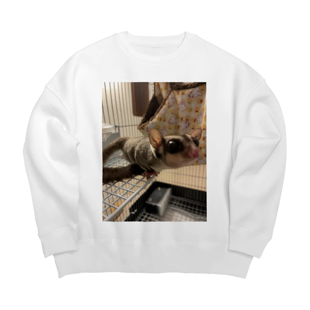 モモンガとハムちゃんのフクモモのギズモ Big Crew Neck Sweatshirt