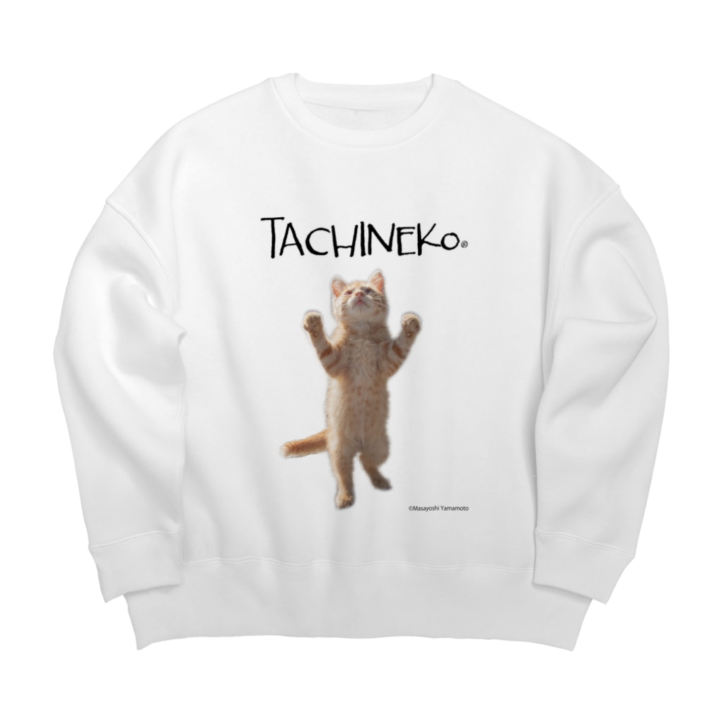 立ち猫®︎(たちねこ） SHOPの子猫立ち猫 Big Crew Neck Sweatshirt