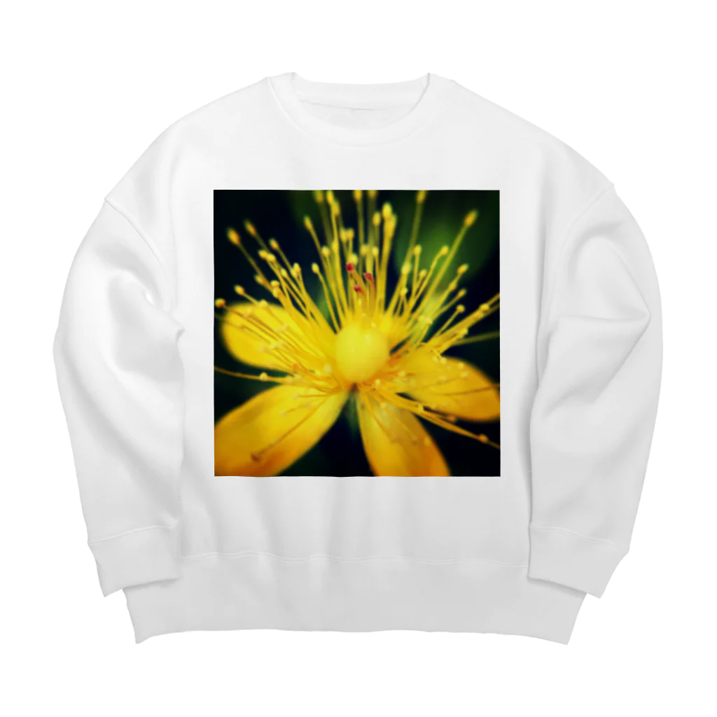 あせろらじゃむの黄色いお花のズーム Big Crew Neck Sweatshirt