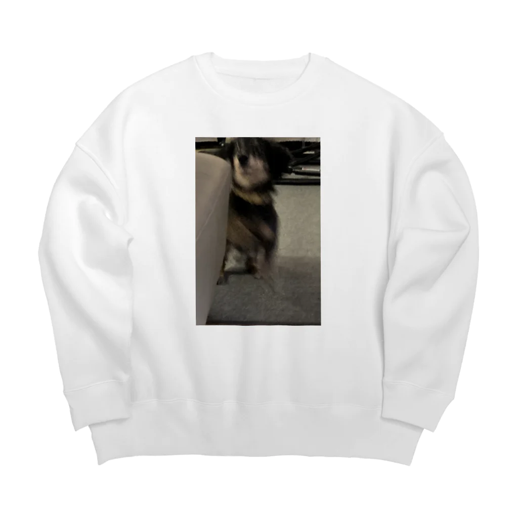 激アツ･モチモチプリップリTVの犬 Big Crew Neck Sweatshirt