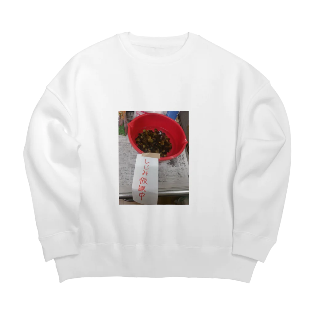 あののしじみ仮眠中 Big Crew Neck Sweatshirt