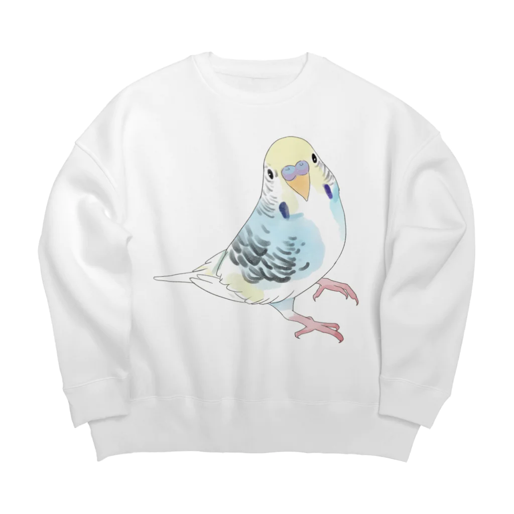 まめるりはことりの見つめる七色セキセイインコちゃん【まめるりはことり】 Big Crew Neck Sweatshirt