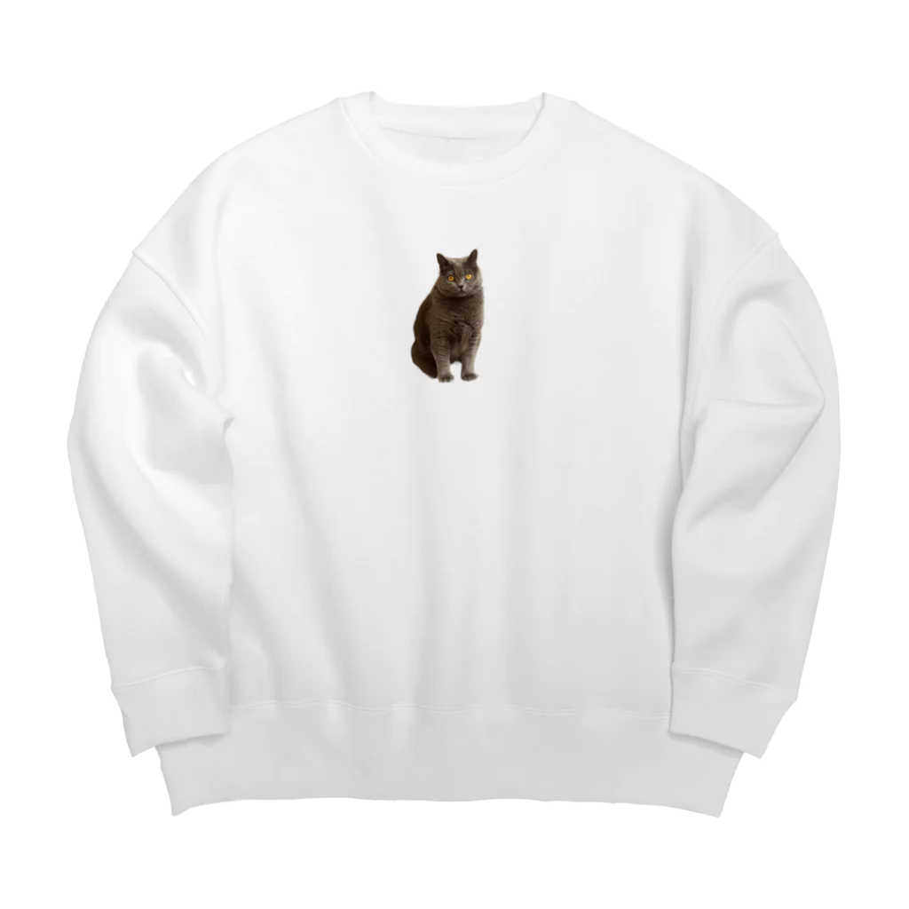 まっかっけいこ@LINEスタンプ販売中のねこのもあたん Big Crew Neck Sweatshirt