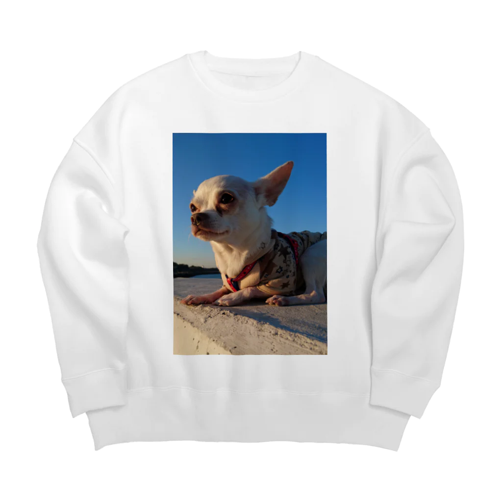 うめこずかんの海辺のうめこ１ Big Crew Neck Sweatshirt