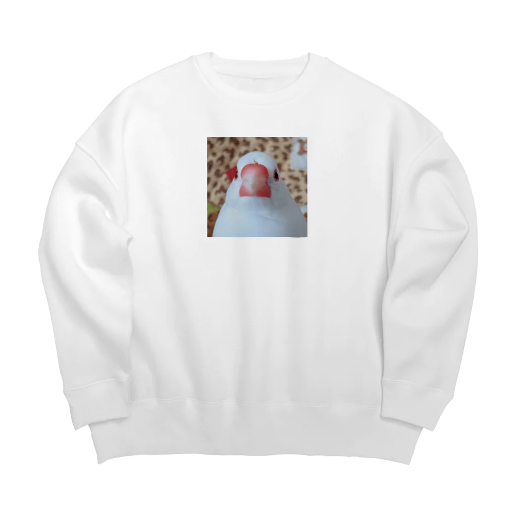 白文鳥にかの日課。のにかくん、鼻の上に種のカラ気づかず。 Big Crew Neck Sweatshirt