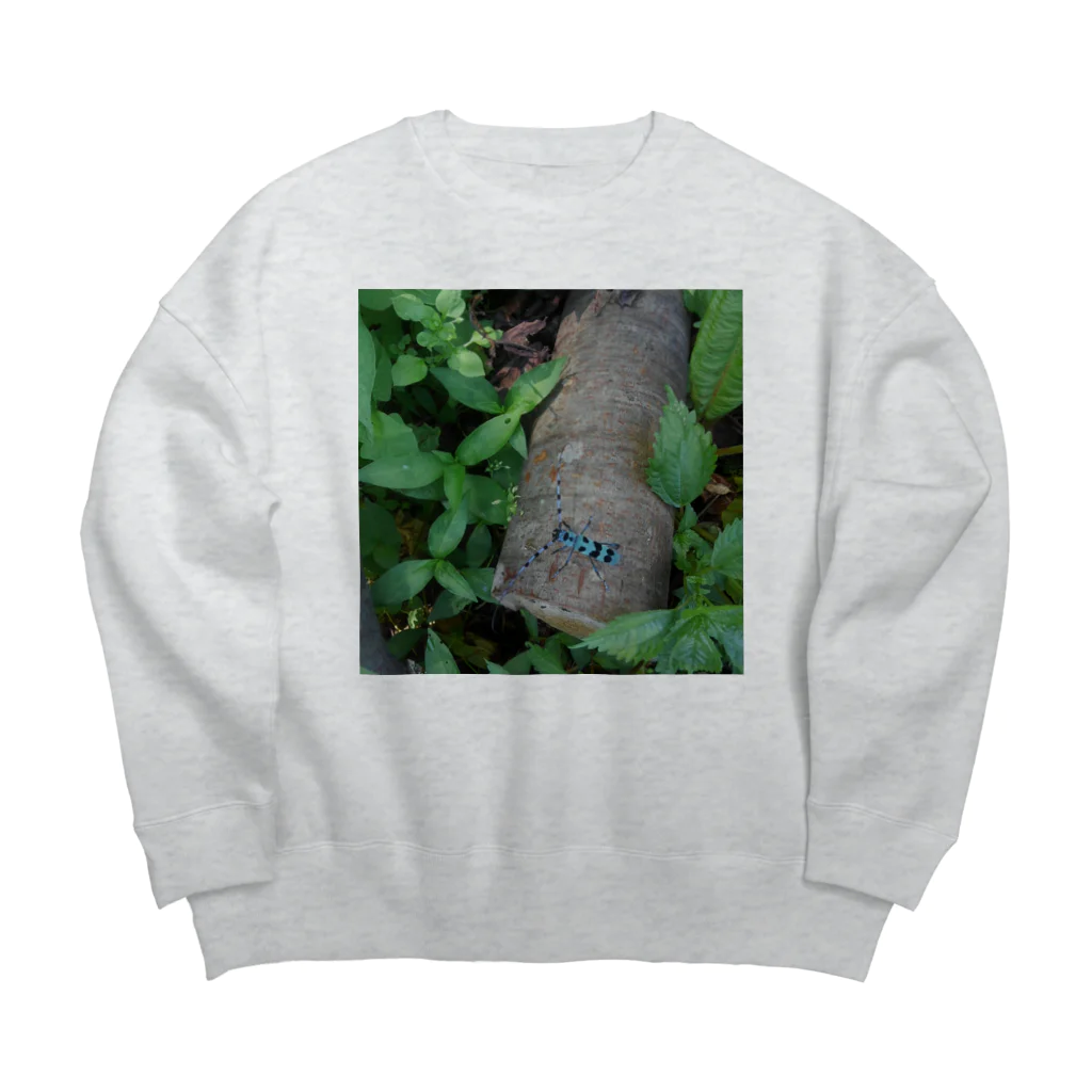 ミクロのルリボシカミキリくん Big Crew Neck Sweatshirt