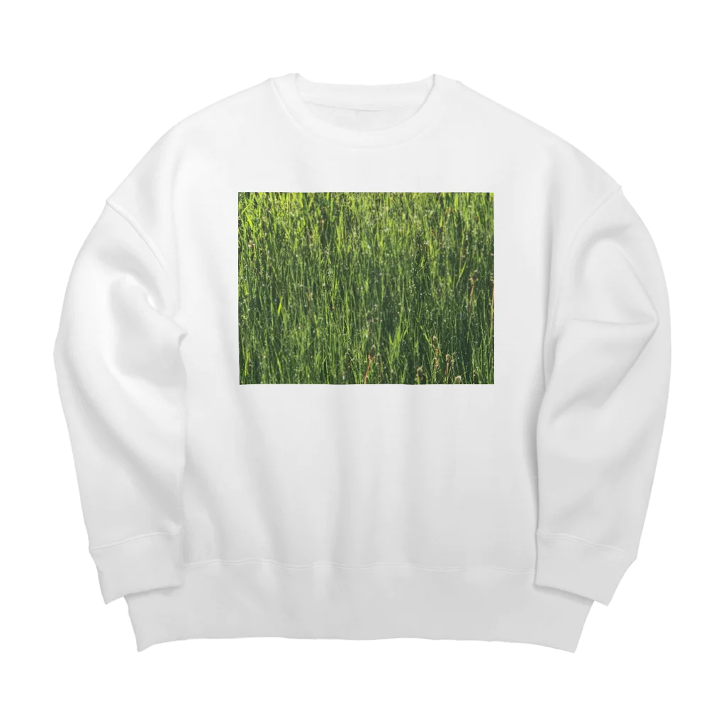 空屋　sorayakusakaの201905291758002　雨上がり Big Crew Neck Sweatshirt