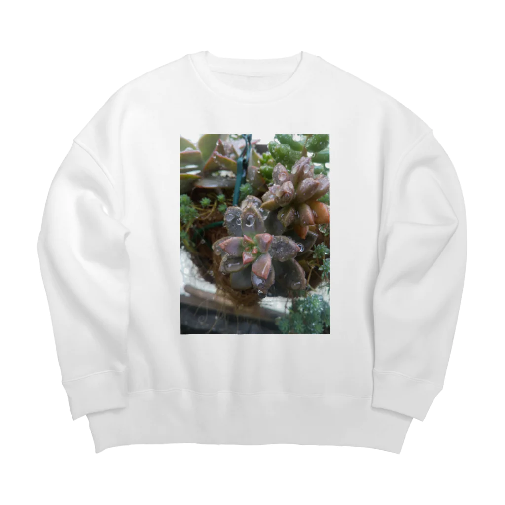 ミクロの雨の中の多肉植物 Big Crew Neck Sweatshirt