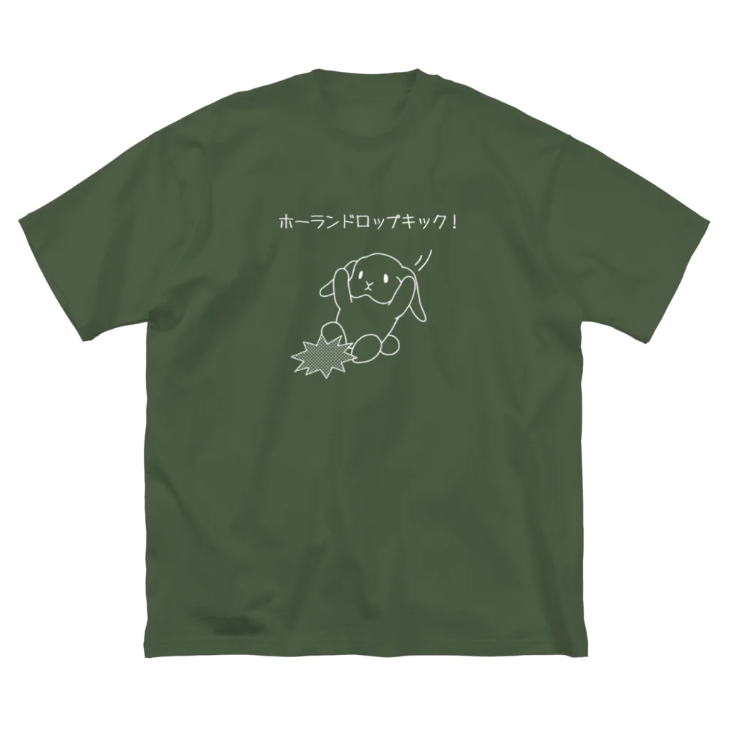 ぺんぎん24のホーランドロップキック！(ホワイト) ビッグシルエットTシャツ