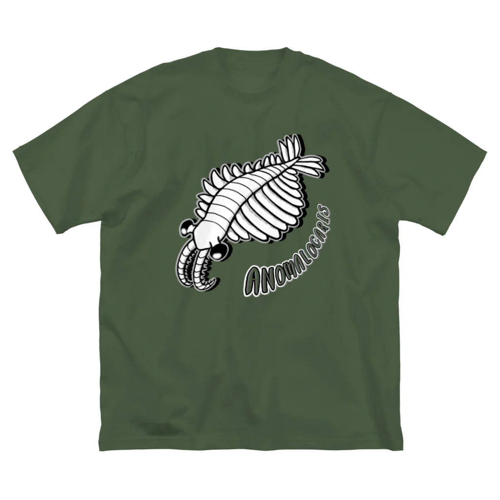 LalaHangeulのAnomalocaris (アノマロカリス) Big T-Shirt