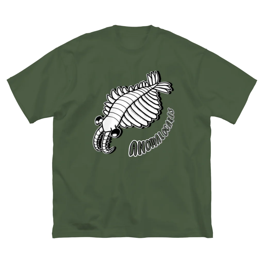 LalaHangeulのAnomalocaris (アノマロカリス) ビッグシルエットTシャツ