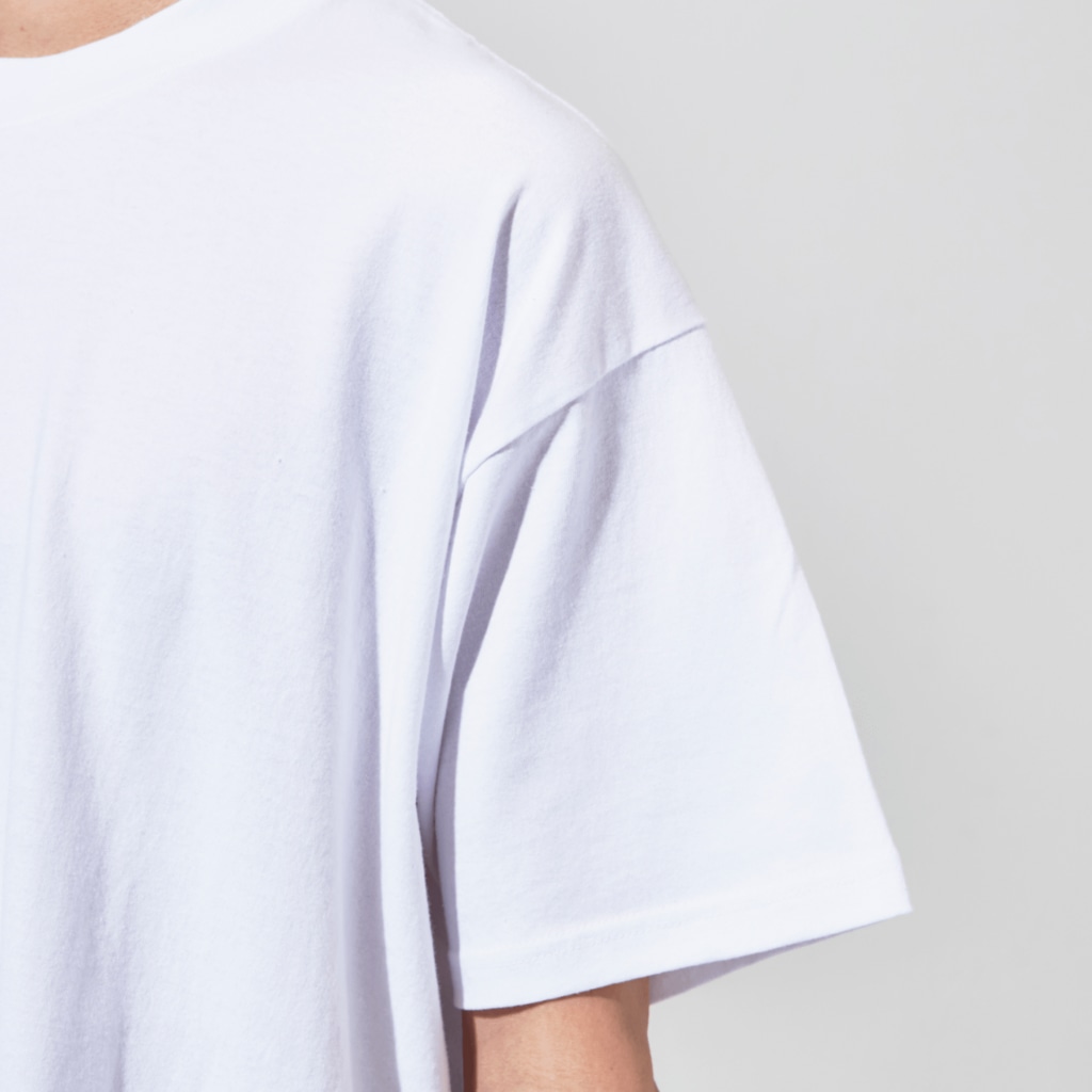 LalaHangeulの白虎の仔　ハングル版　バックプリント Big T-Shirt :sleeve