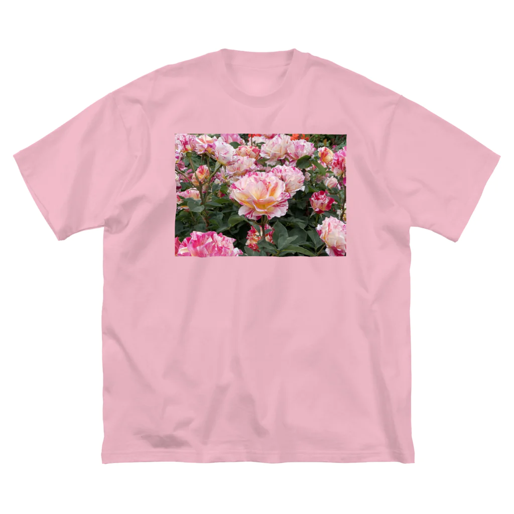 紫ノエルのピンクの薔薇② ビッグシルエットTシャツ