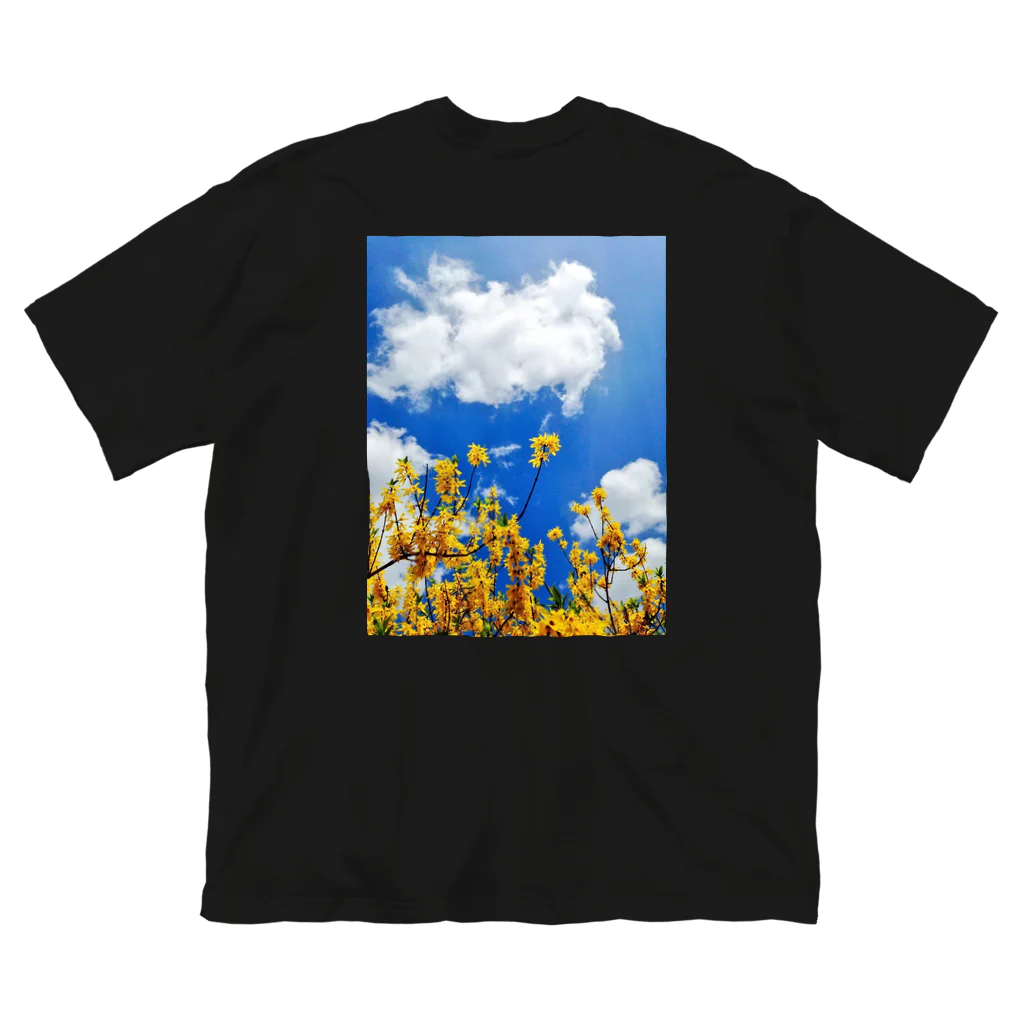 うみのみせの春の花 Big T-Shirt