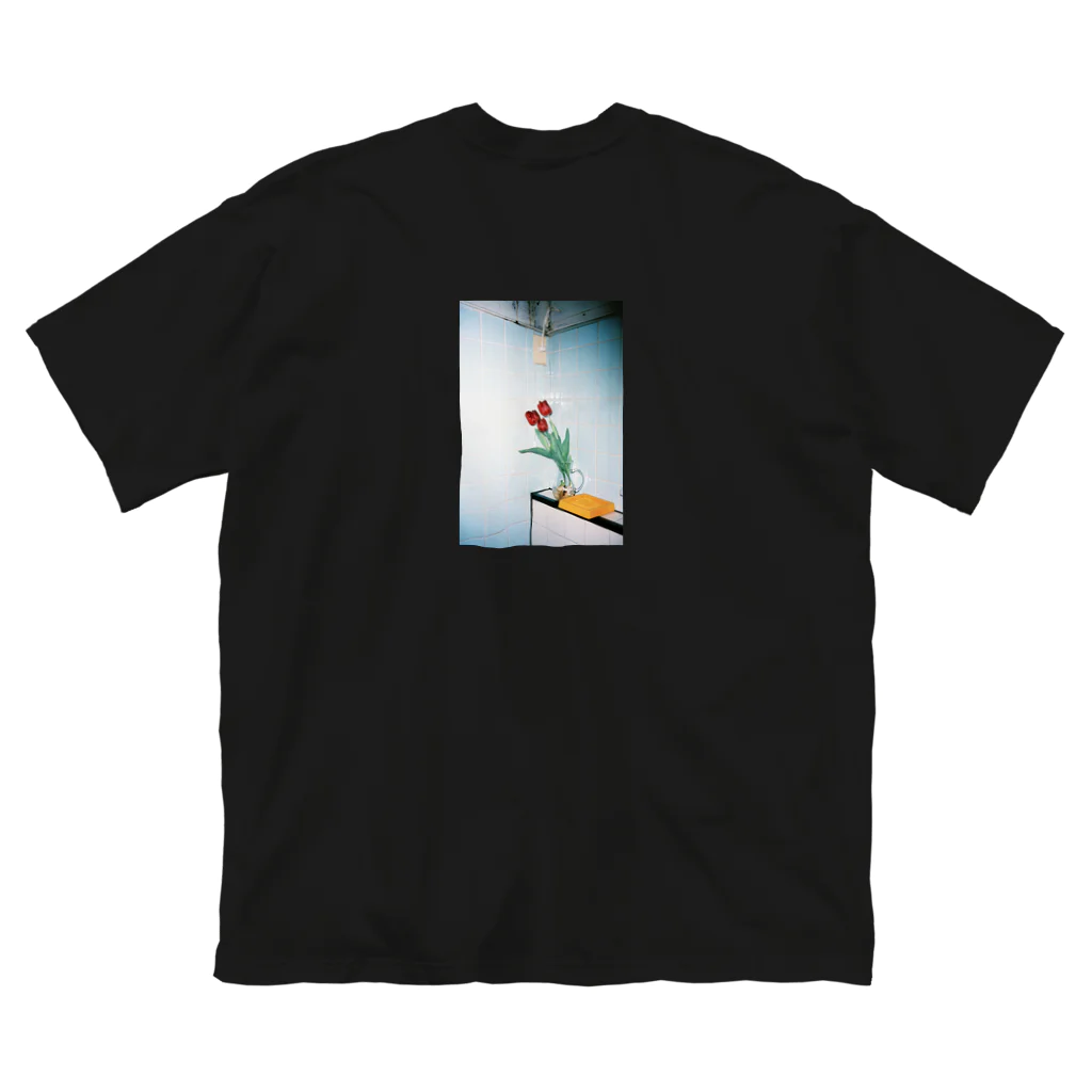 PHOTOGRAPHICsの春霞 ビッグシルエットTシャツ