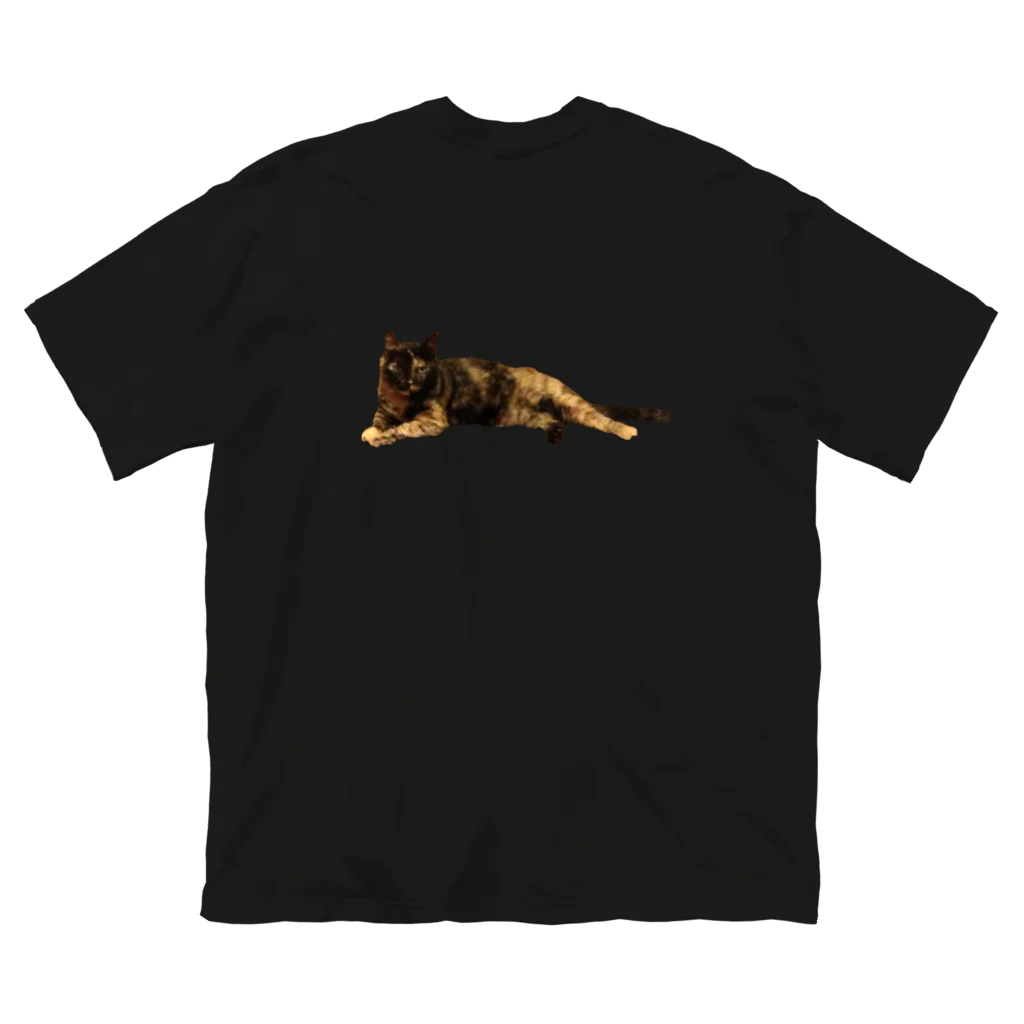 水彩屋のサビ猫で虎柄 ビッグシルエットTシャツ