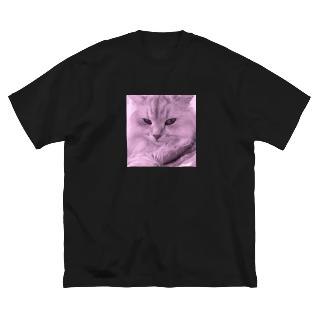 猫のきぬくんのお店のかっこいいきぬくん Big T-Shirt