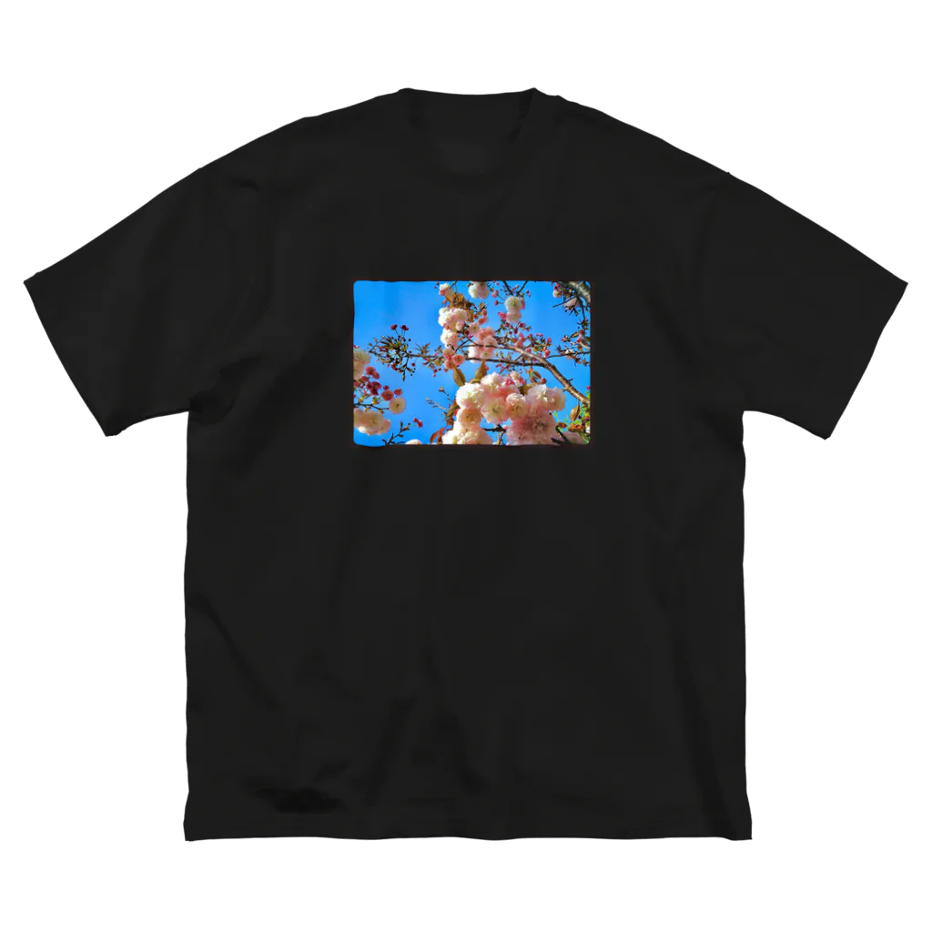 LalaHangeulの八重桜2020 其の三 ビッグシルエットTシャツ