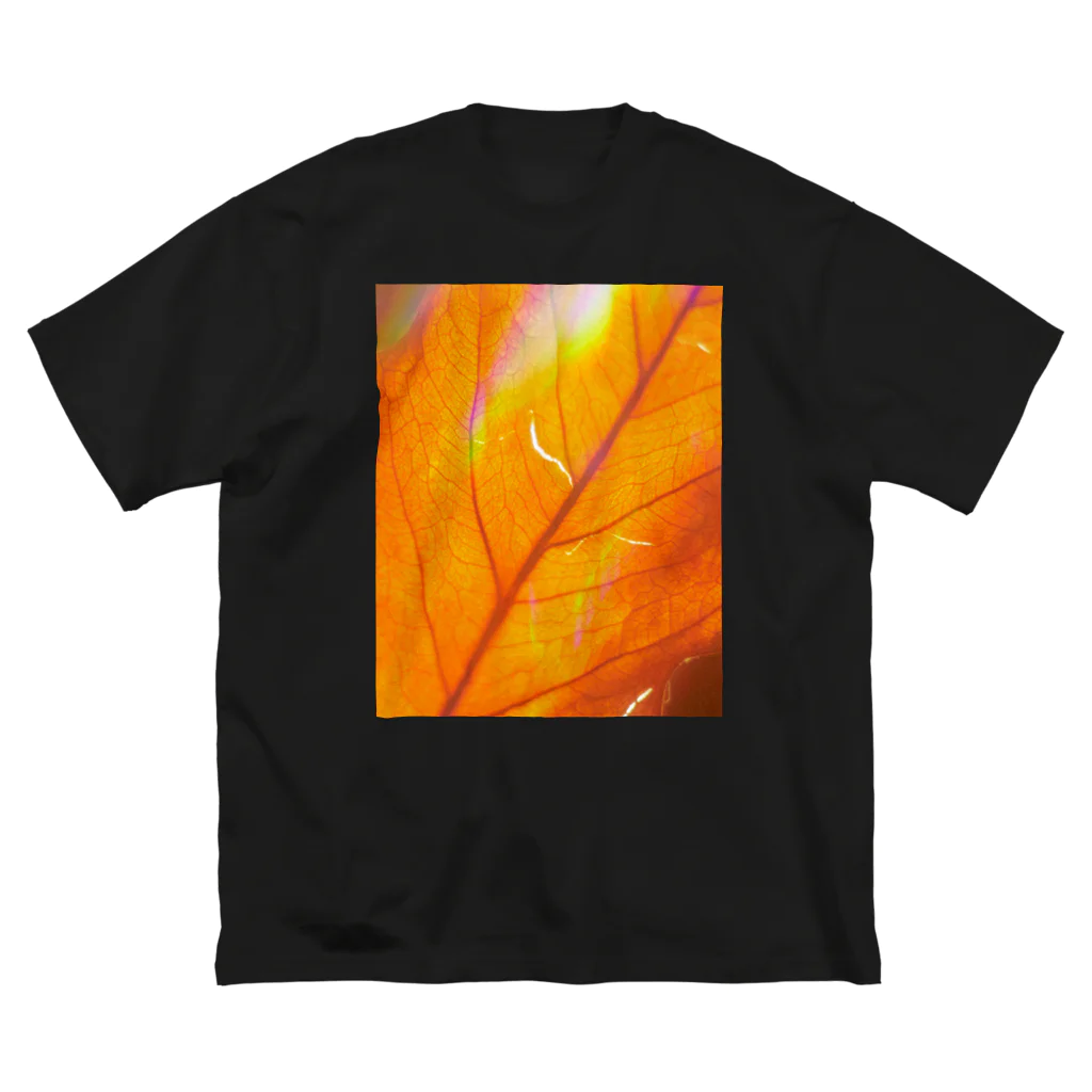 Hide Watanabeの leaf00 ビッグシルエットTシャツ