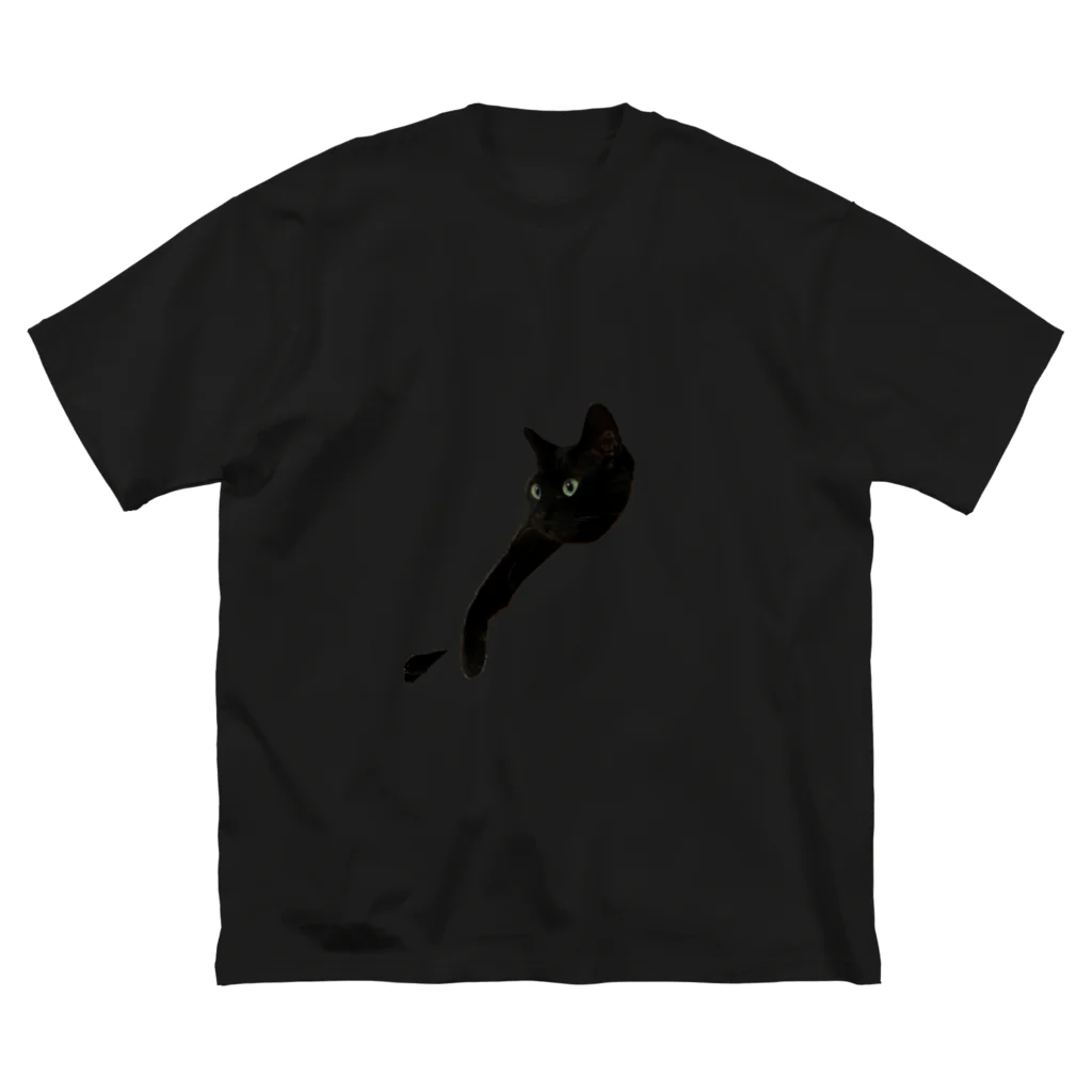 ポラリスの浮かぶ黒猫 ビッグシルエットTシャツ